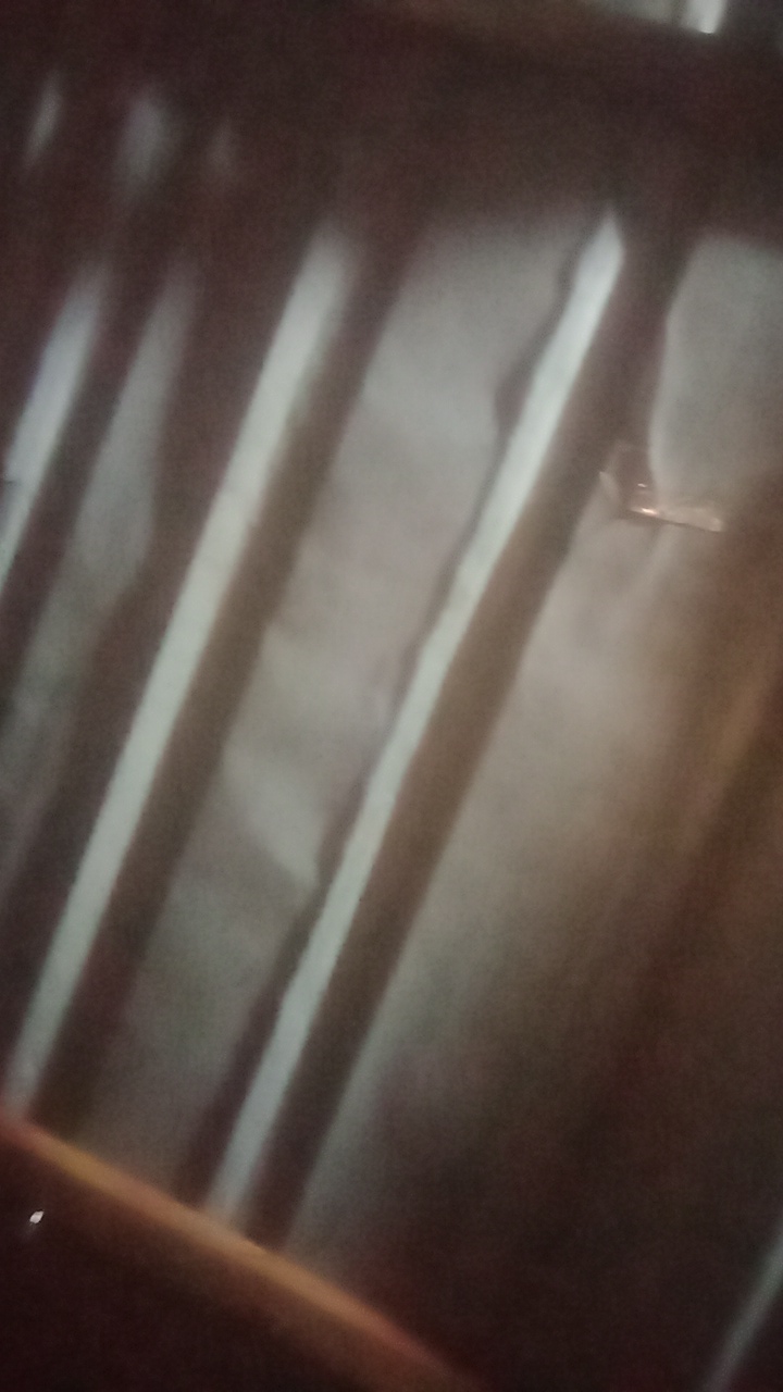 FM-jvrEA2's profile picture