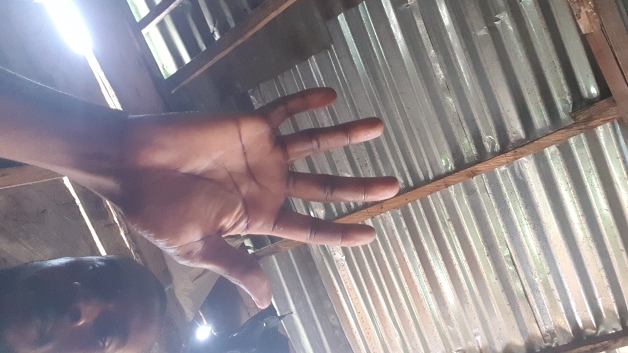 AK's profile picture