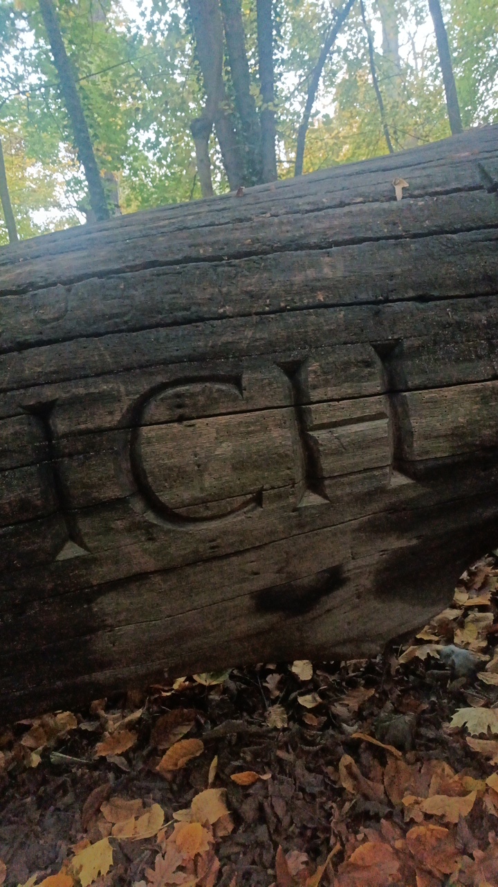 FM-rFWs12's profile picture