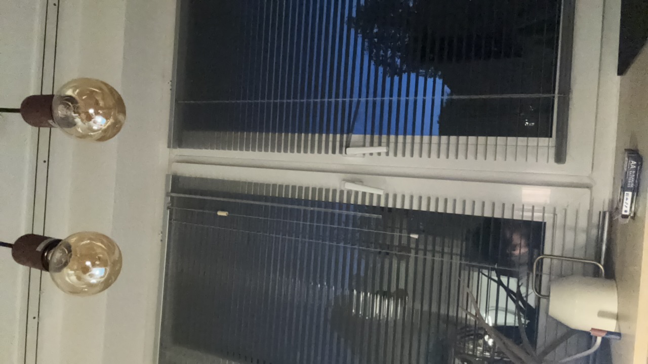 carloosfalco's profile picture