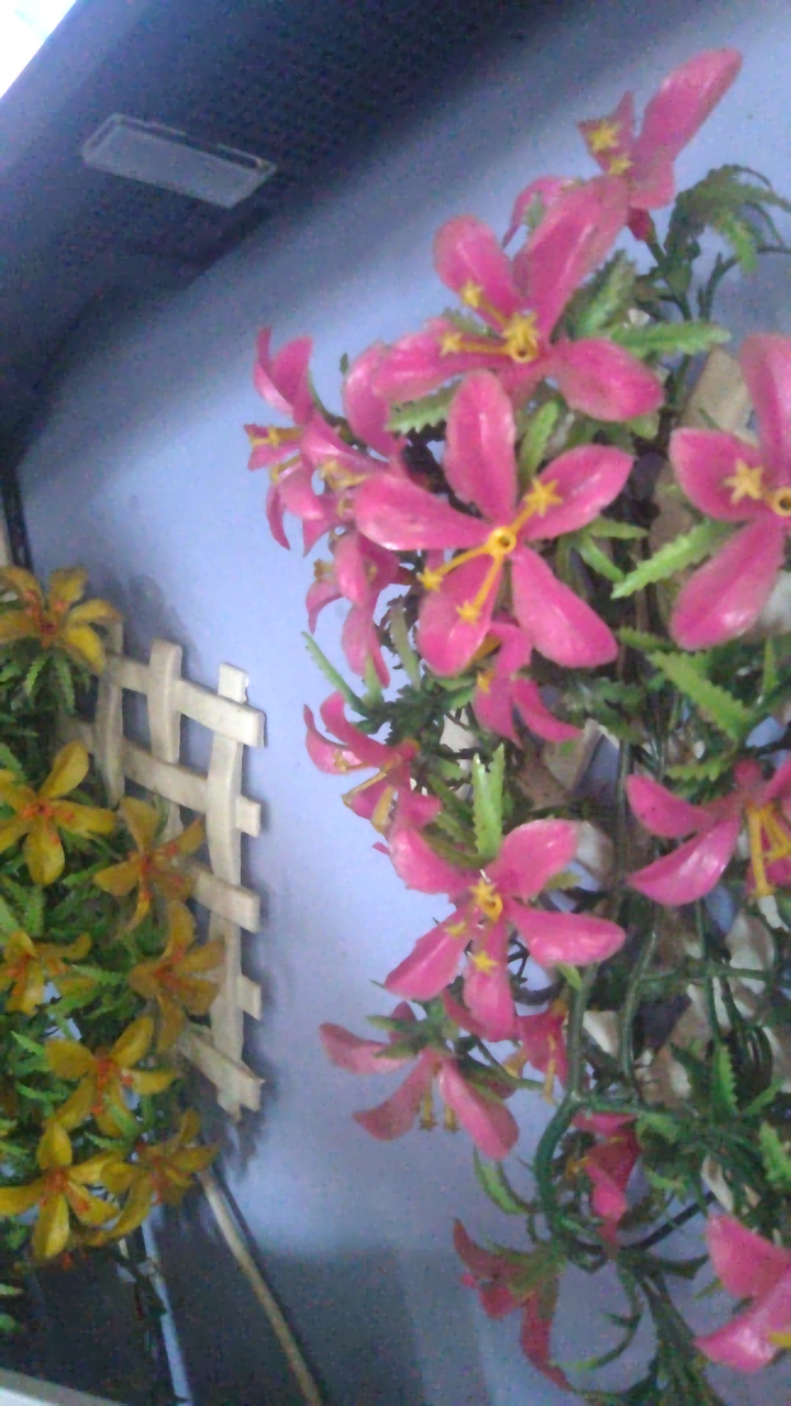 Alexi andrea 🫦's profile picture