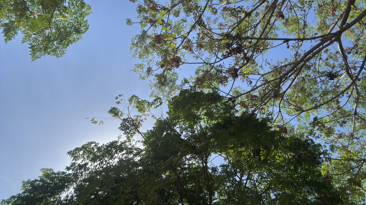 FM-tIHP92's profile picture