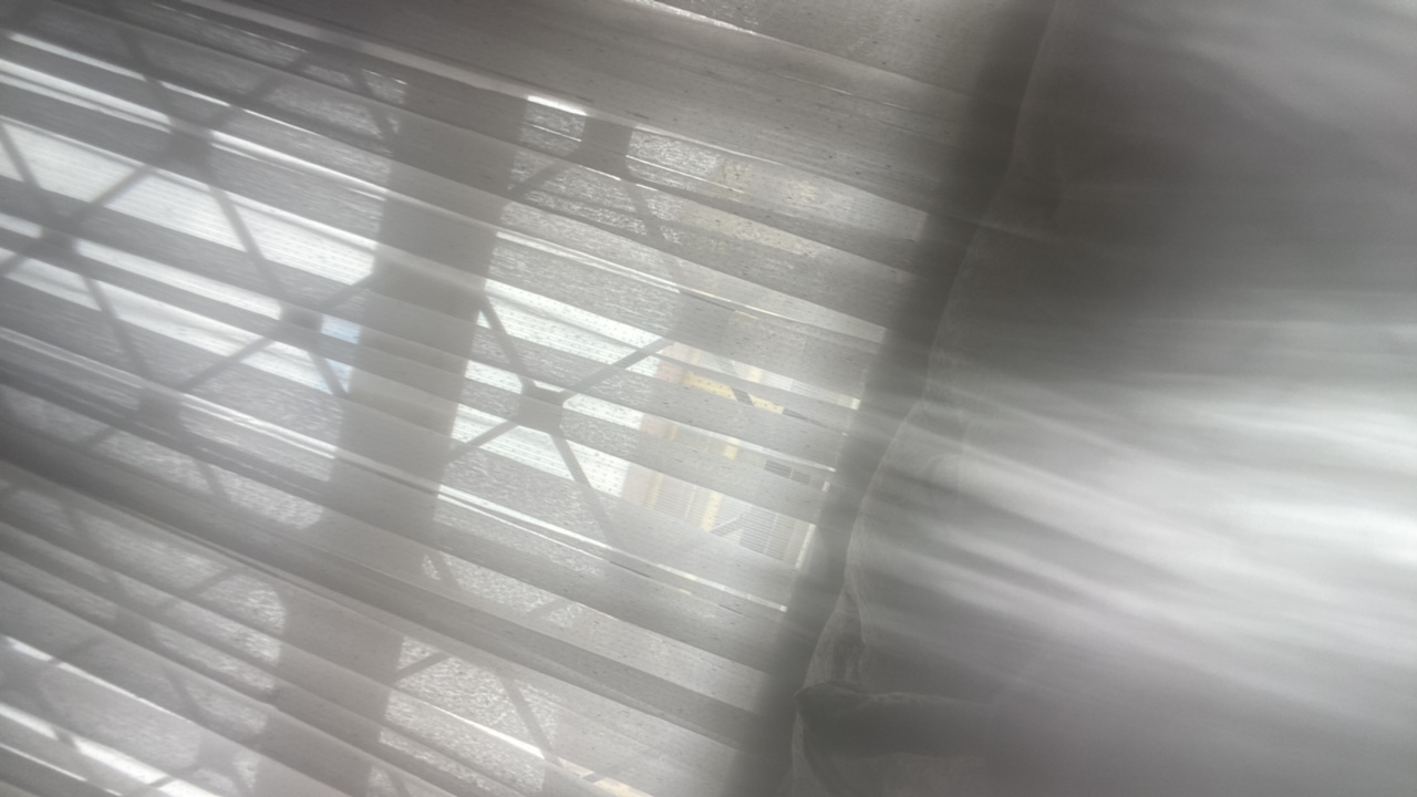 FM-wdiZR2's profile picture