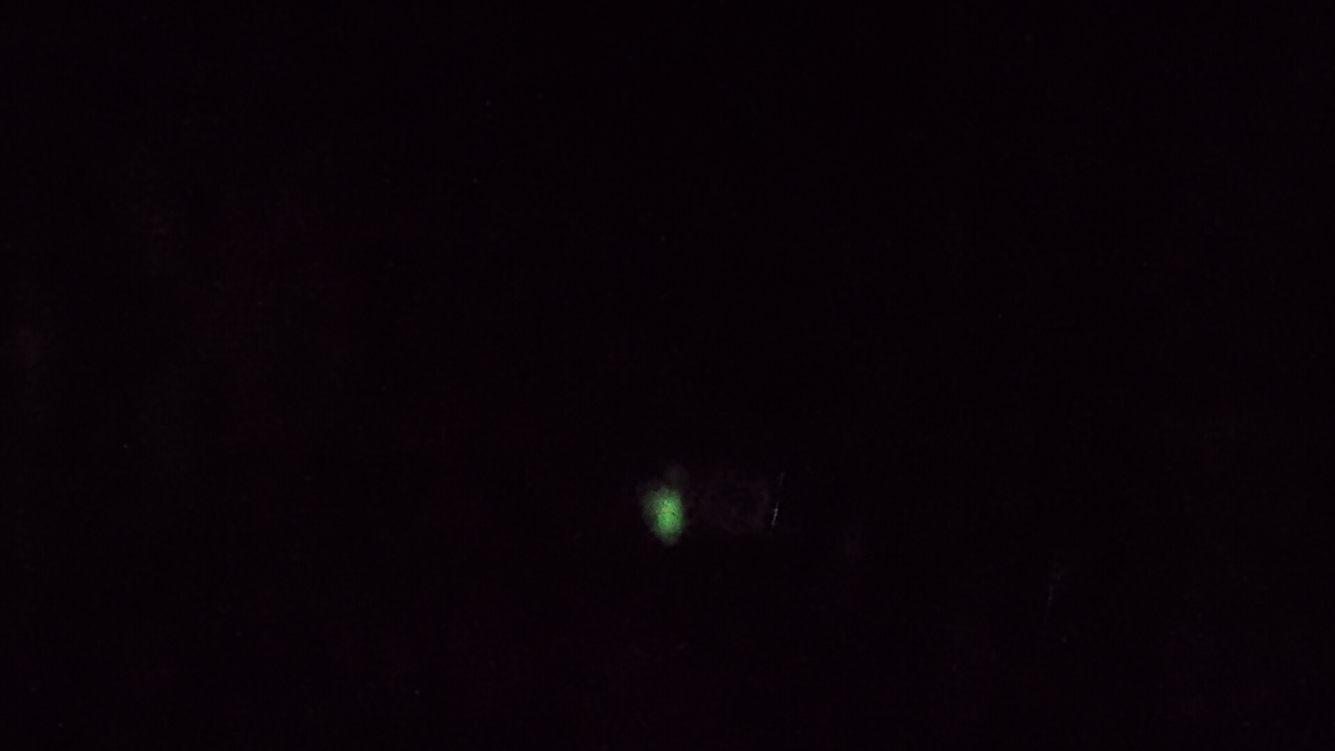 bit - 28's profile picture