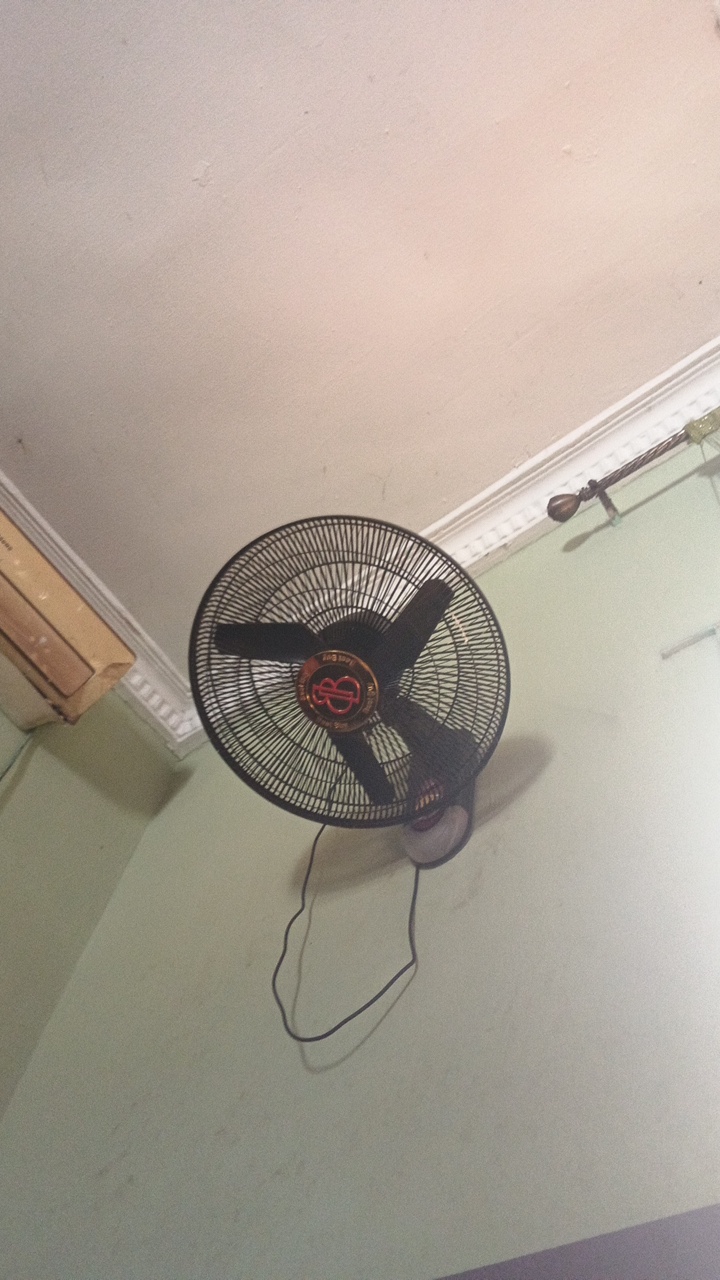 FM-BLk493's profile picture