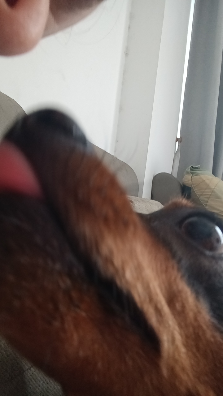 1kXM4LLTQmd2i6gfS1vUSGAxu1T2