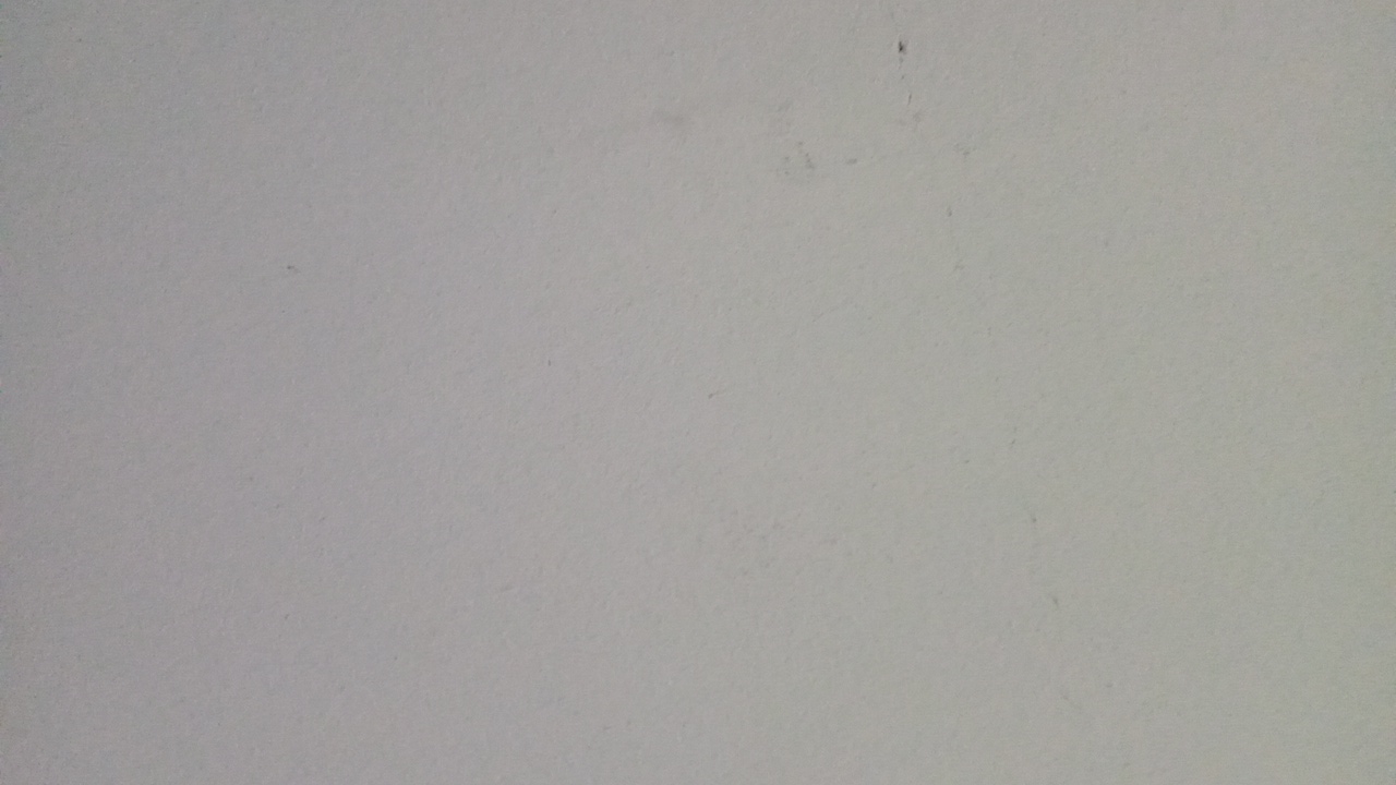 lolo's profile picture