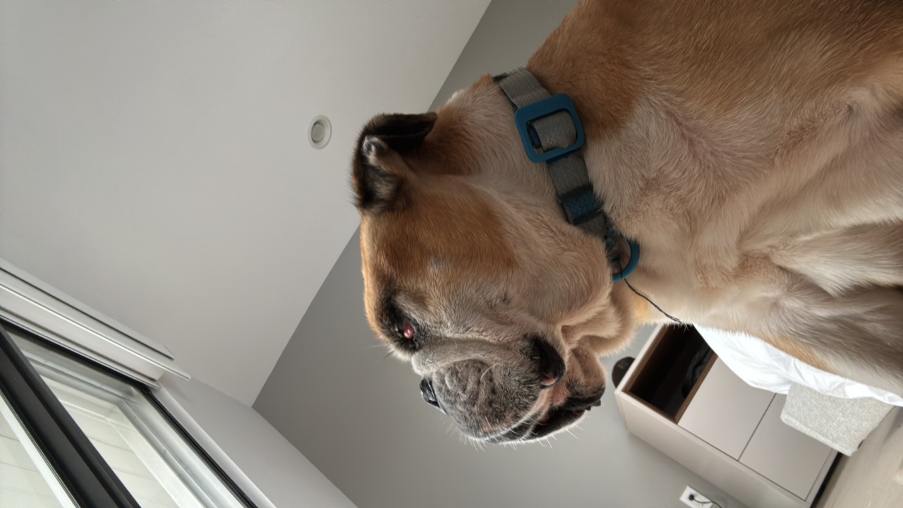 Egar's profile picture