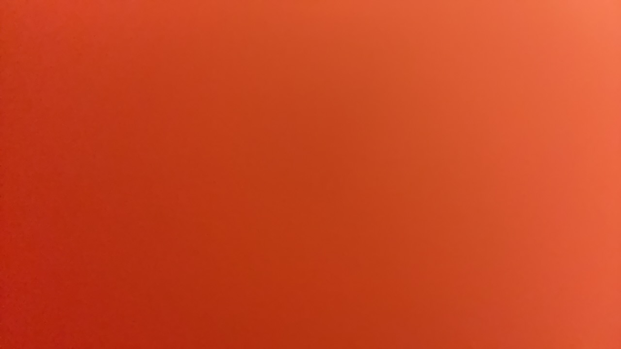 rina's profile picture