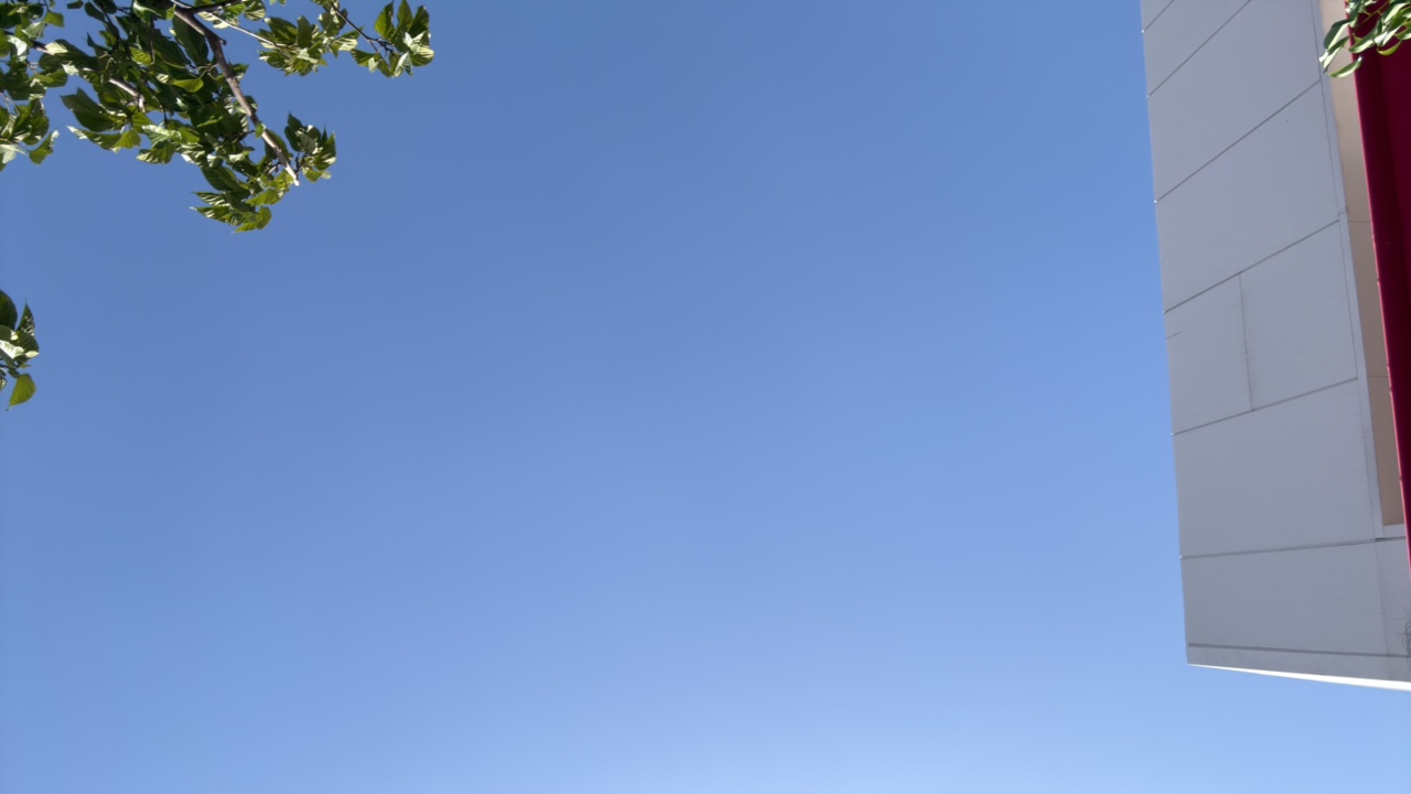 Yaeli's profile picture