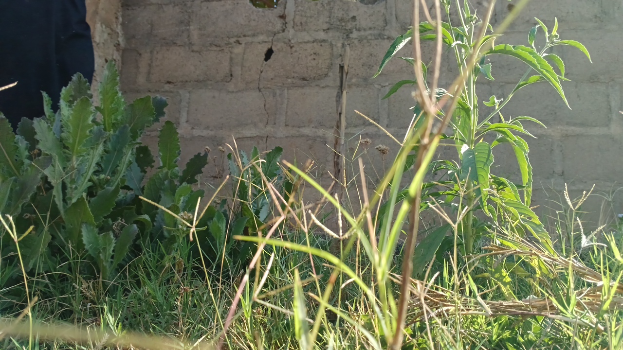 EazyXchange's profile picture