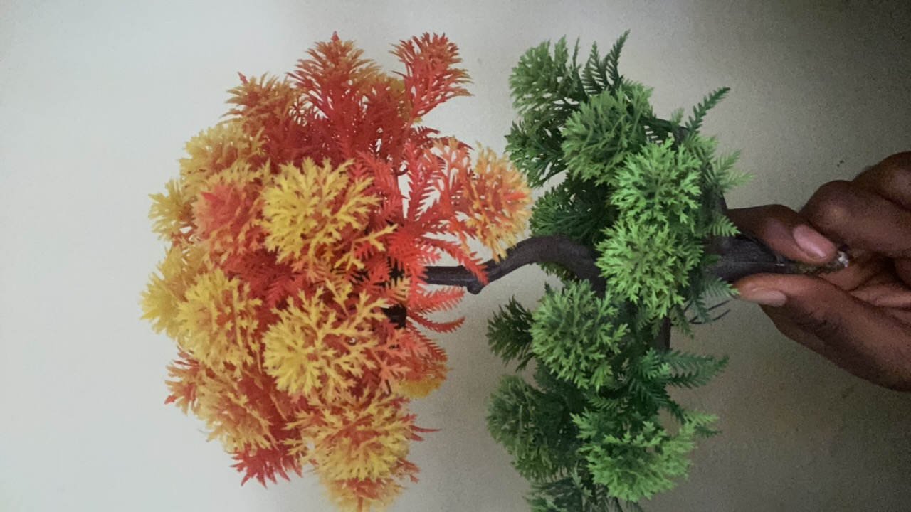 HAZI's profile picture