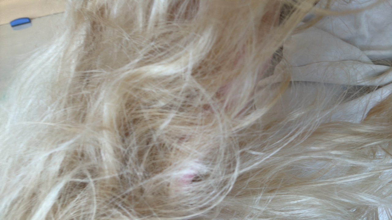 AB's profile picture