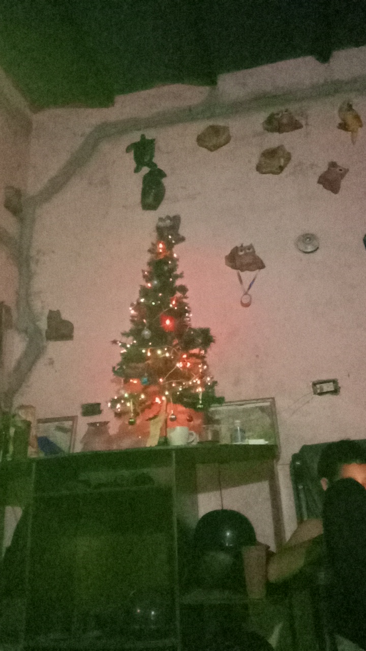 FM-qEkv12's profile picture