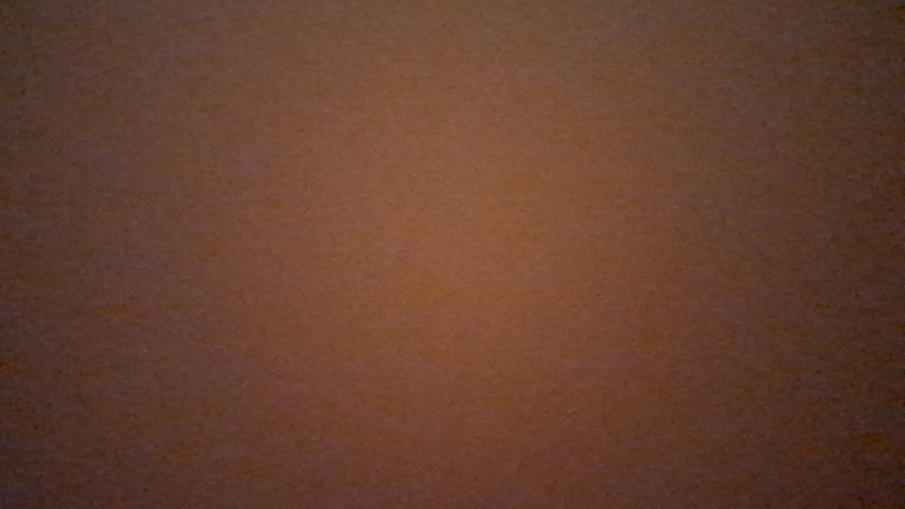 sh's profile picture