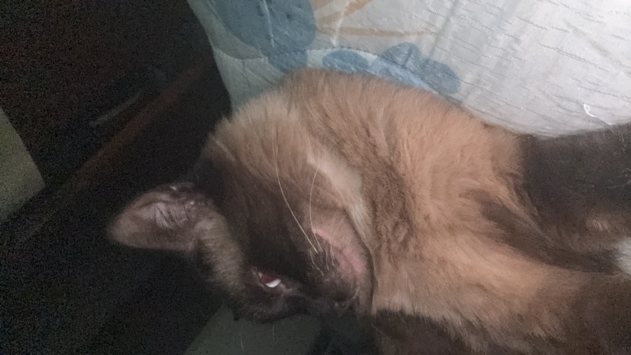2pxeRoOyphgFzltAwcmnZogrPju1