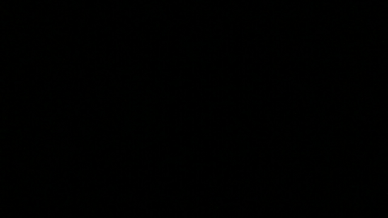 FM-d8G7E3E's profile picture
