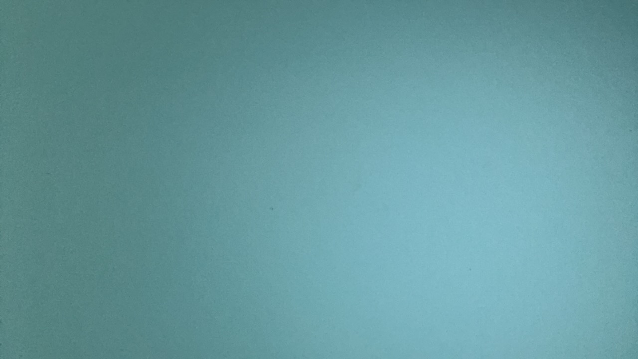 FM-qgNSI2's profile picture