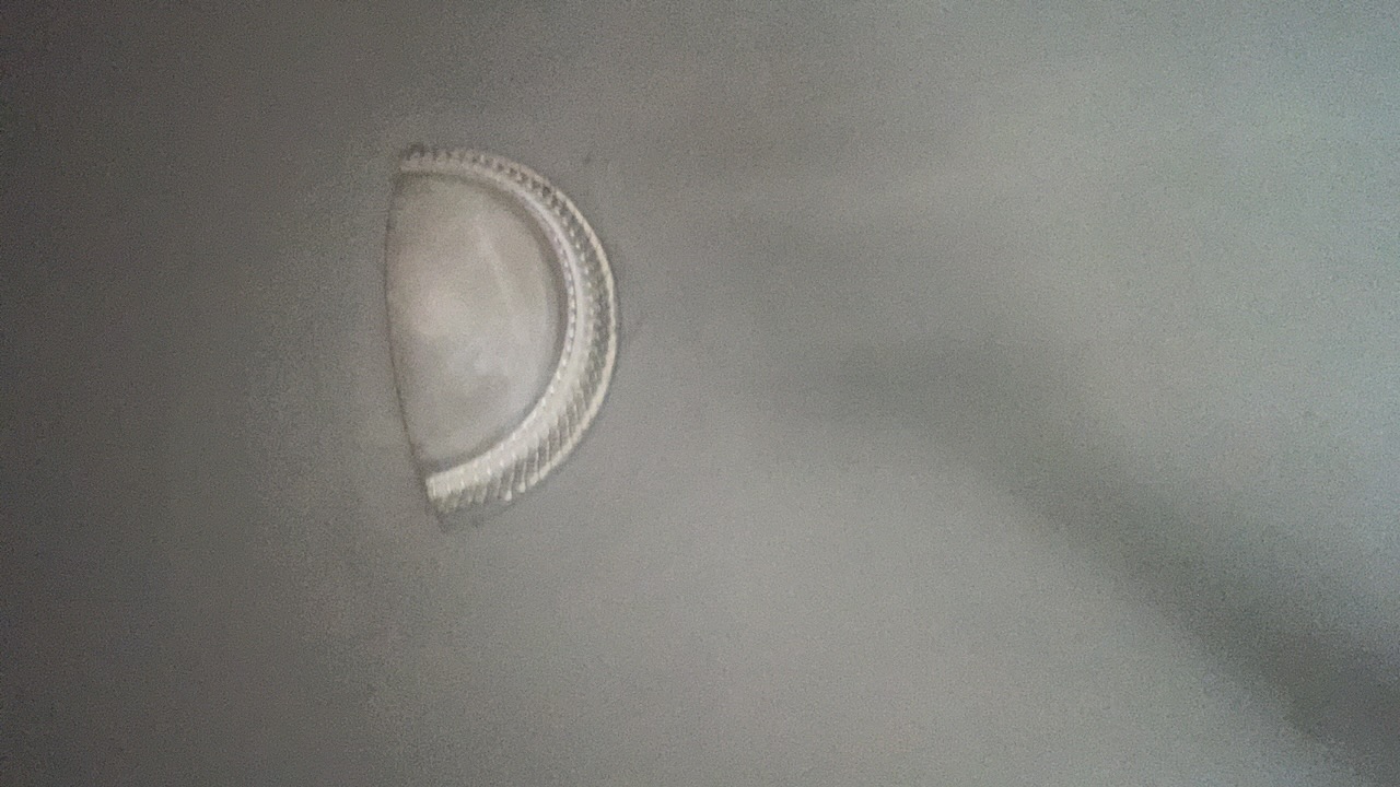 FM-zCpf43's profile picture