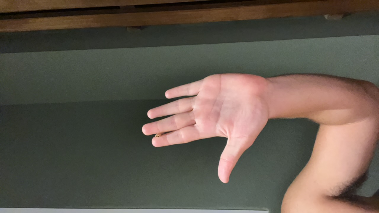 the red head's profile picture