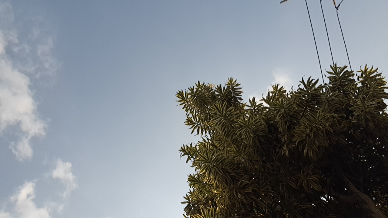 racik02's profile picture