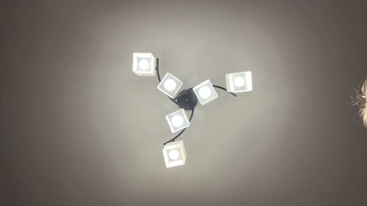 FM-kJsX23's profile picture