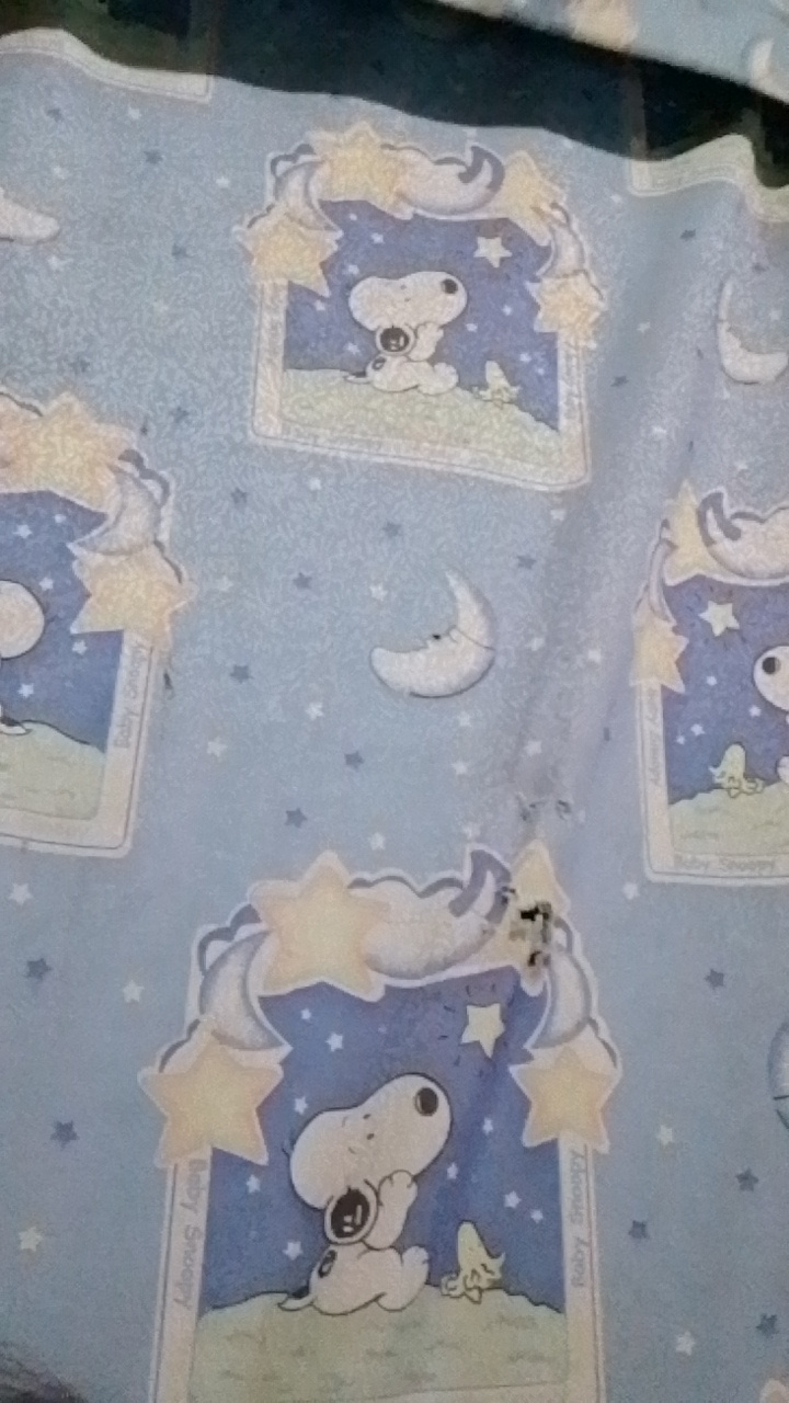 yeanmaris's profile picture