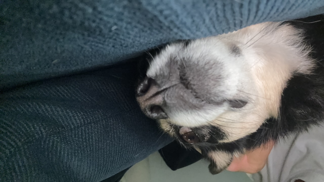 gulagjr's profile picture