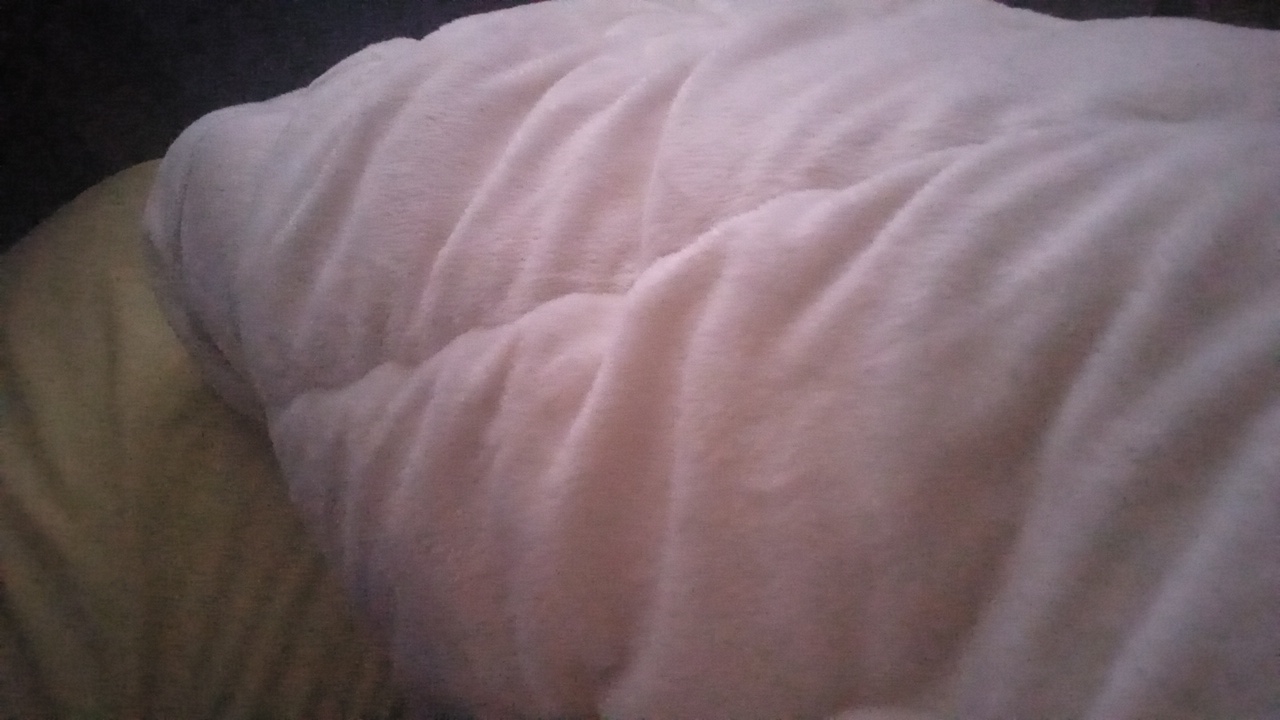 FM-7o2ru2's profile picture