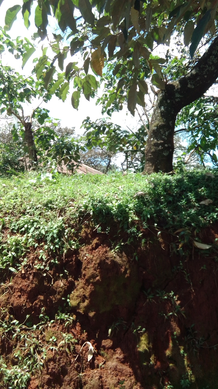 FM-2JhK32's profile picture