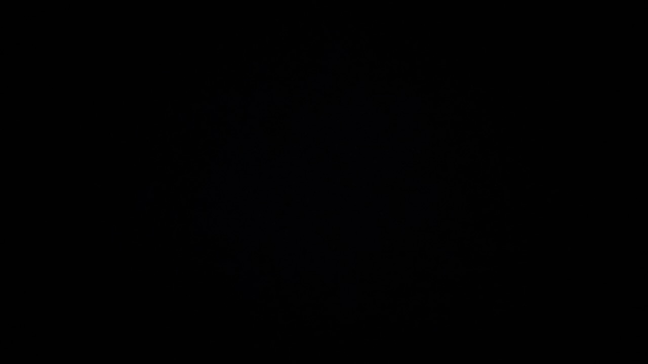 paumorales's profile picture