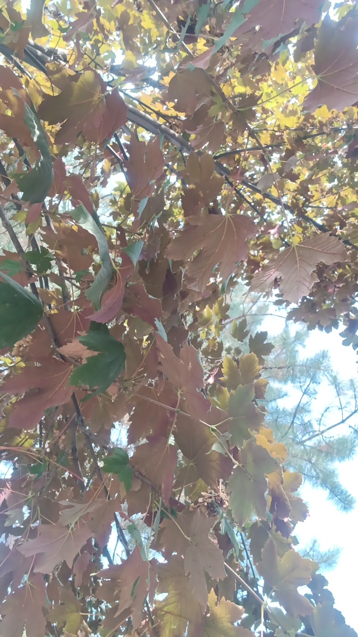 Arion 's profile picture