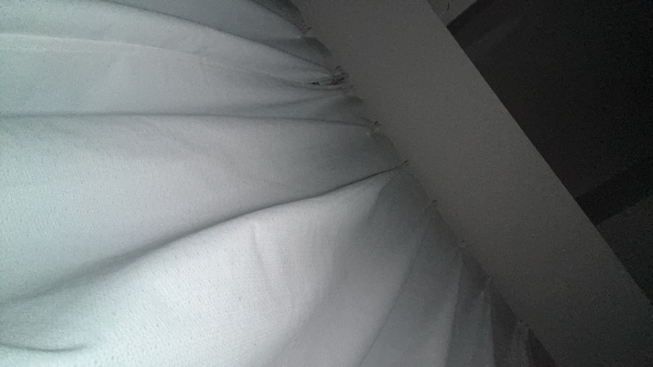 bilgute.eth's profile picture