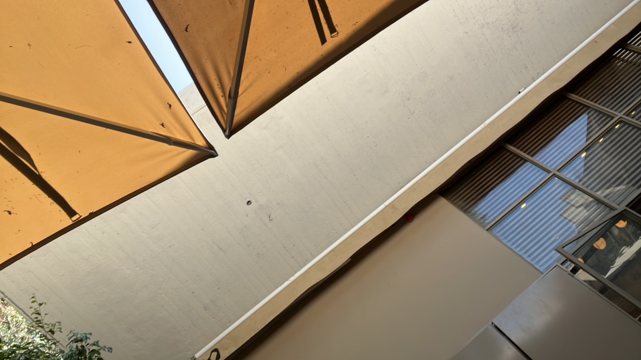 FM-sACiC3's profile picture