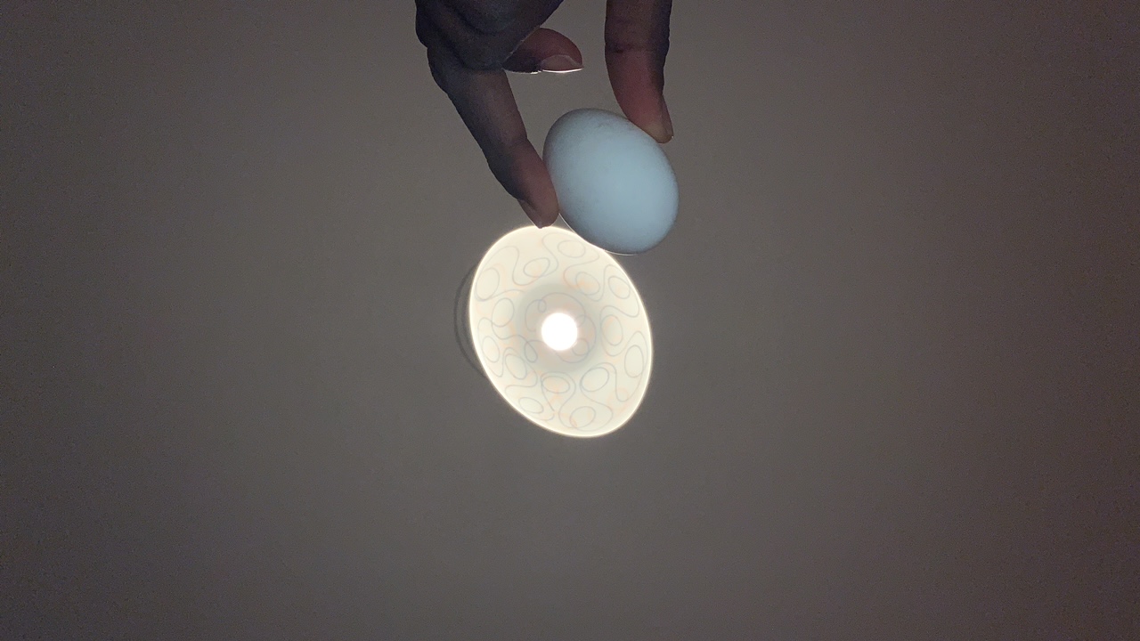 FM-kingp's profile picture