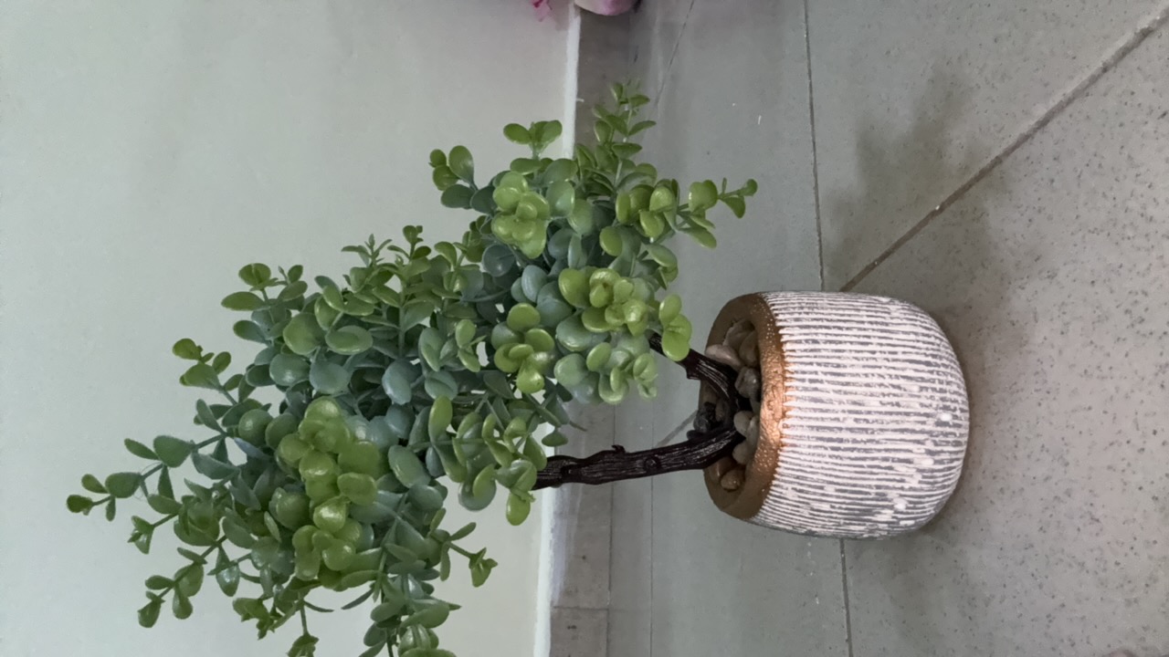 Mila-D's profile picture