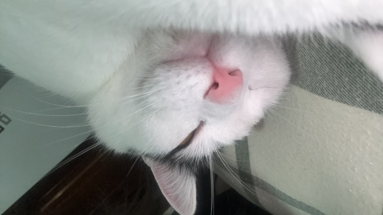 FM-9sj3r2's profile picture