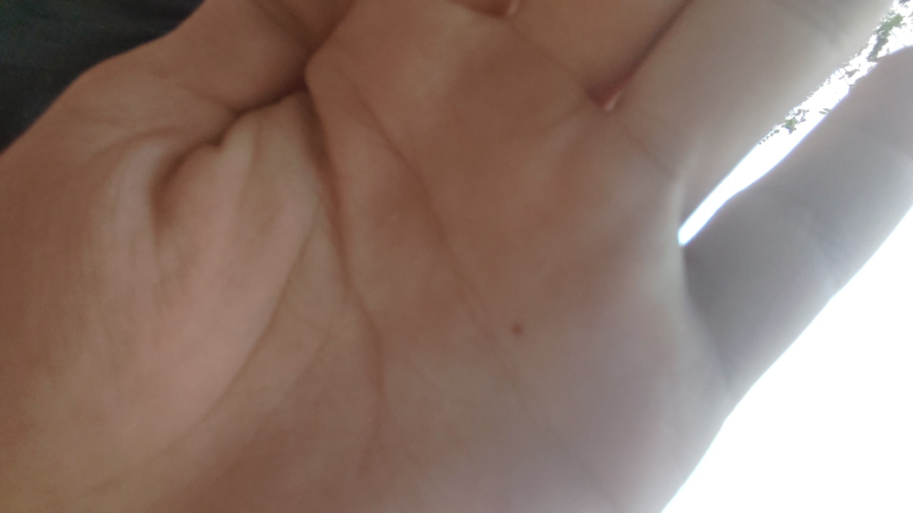 FM-JULMO2's profile picture