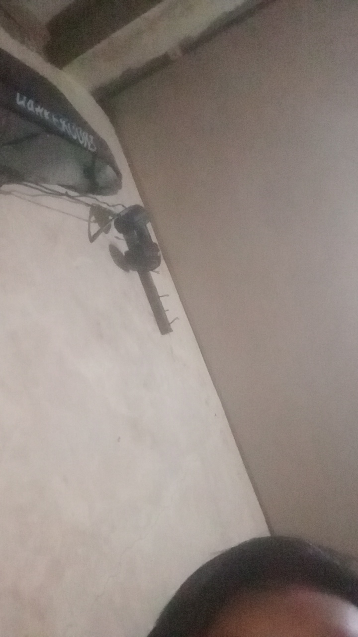 pinne's profile picture