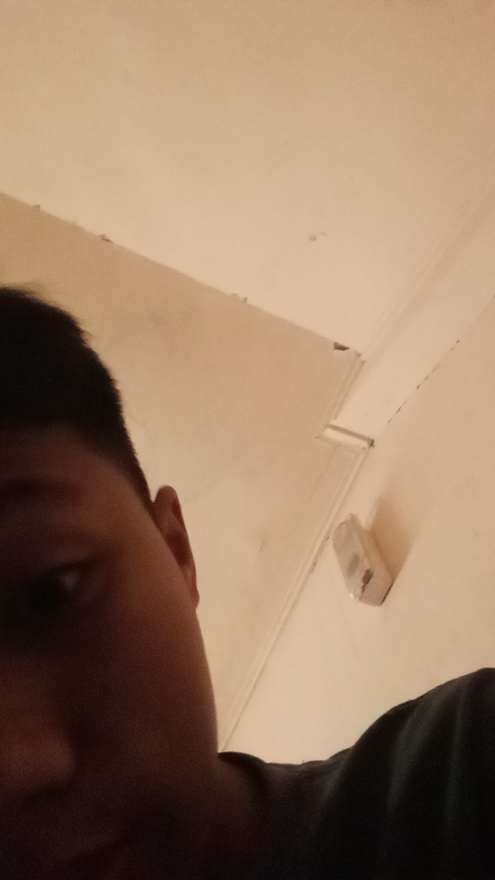 xilac's profile picture