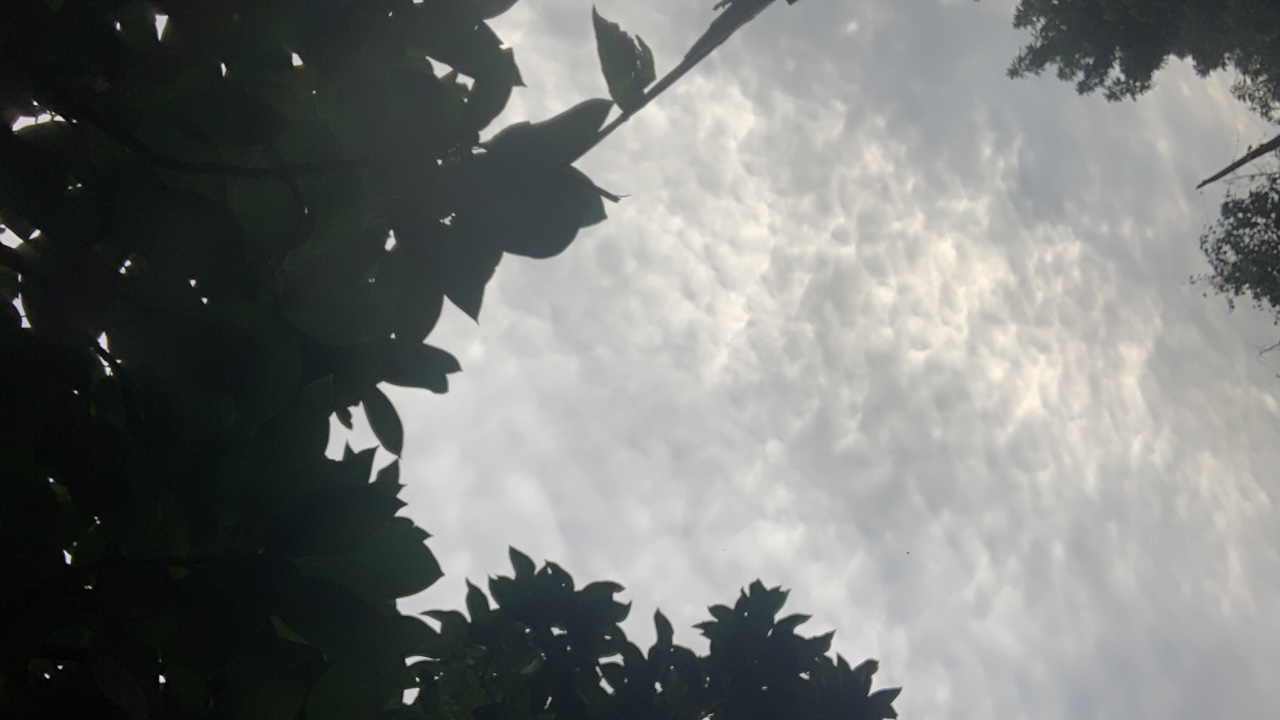 KAYW!RE's profile picture