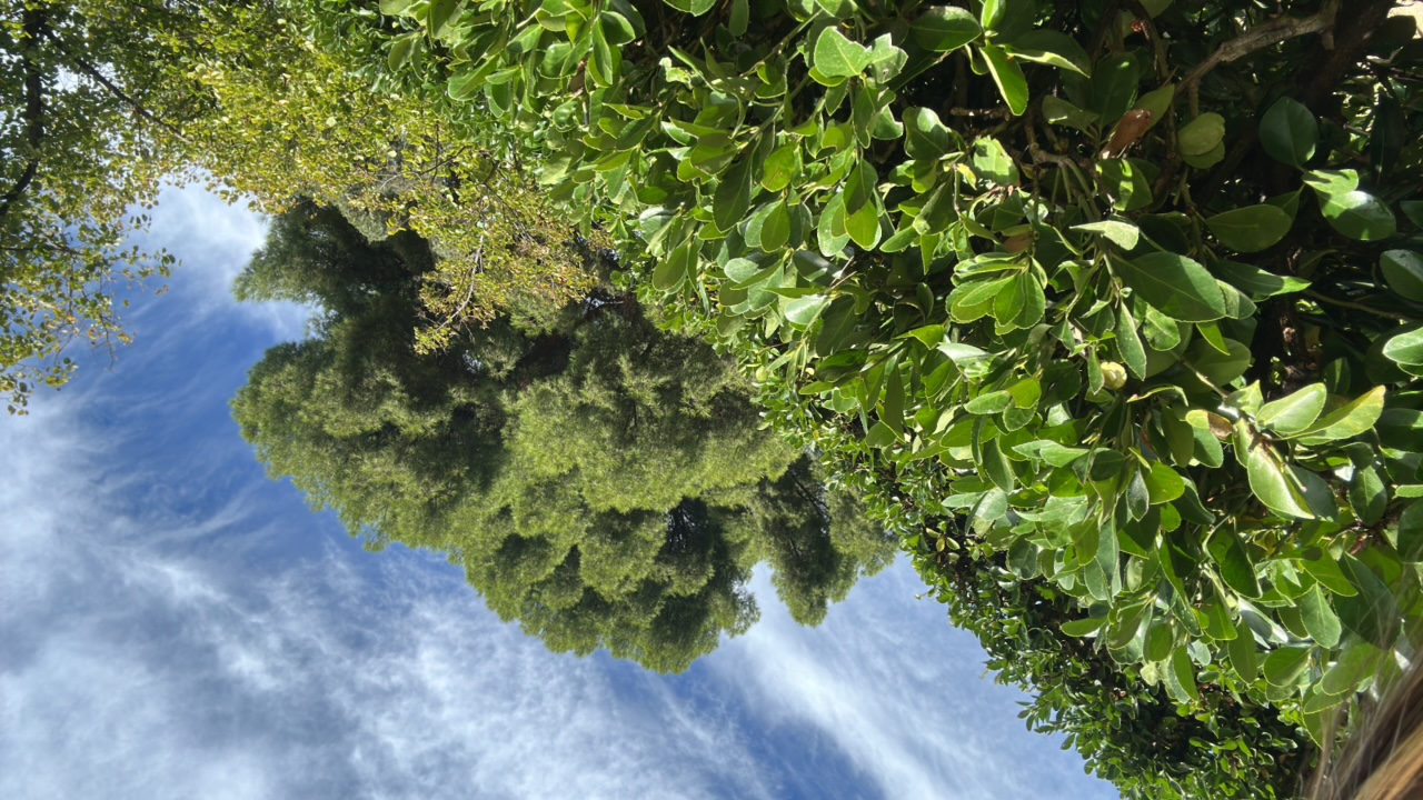 FM-xUk1L2's profile picture