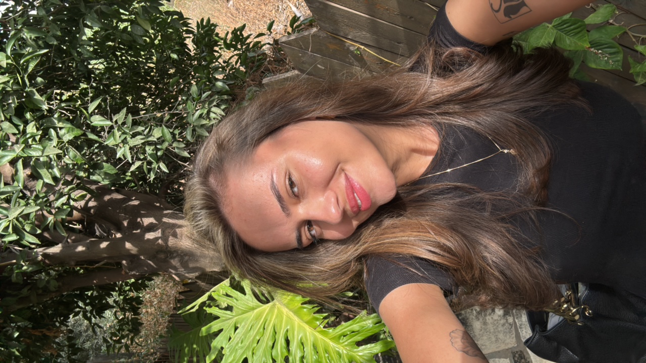 dianalolaev 's profile picture