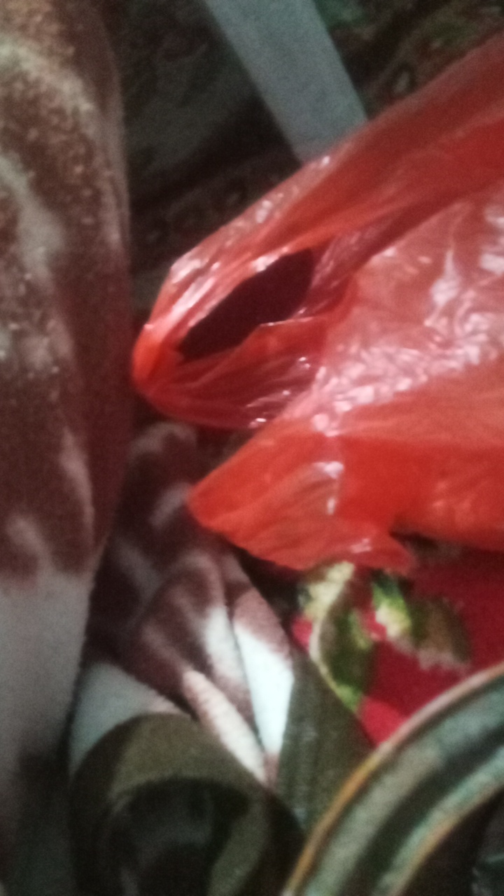 FM-1uJyQ2's profile picture