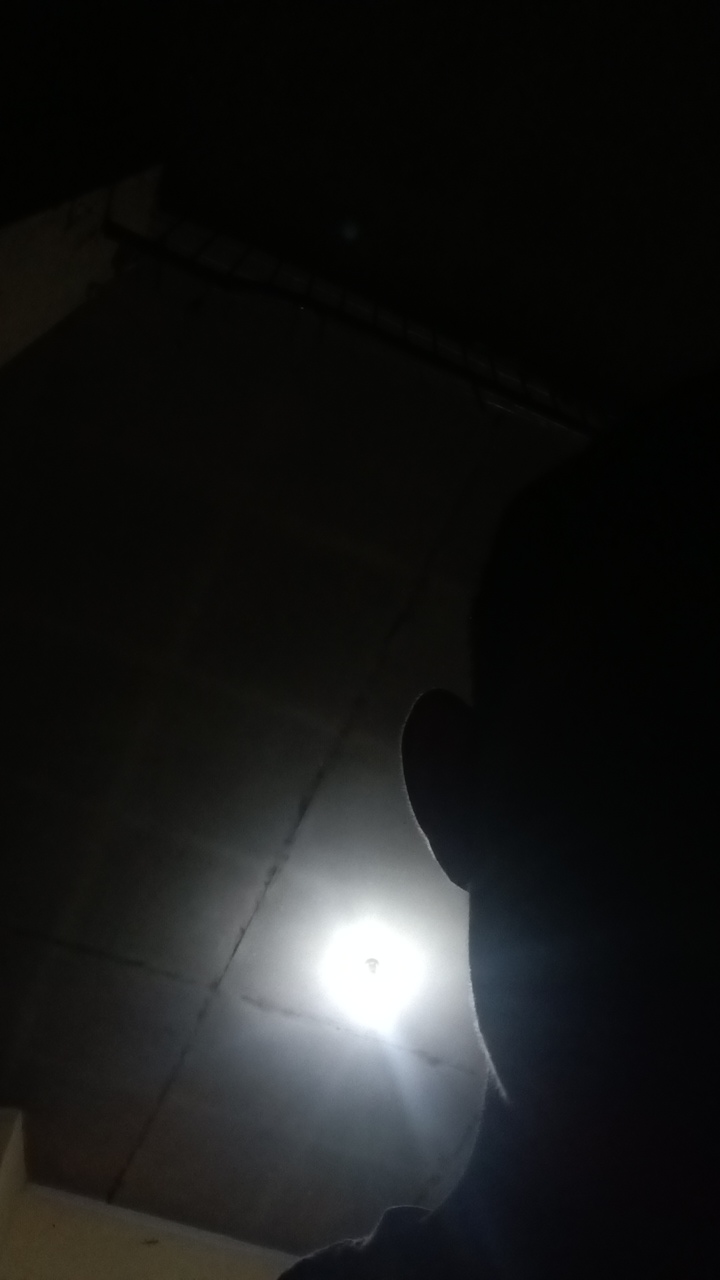 Ign1te's profile picture
