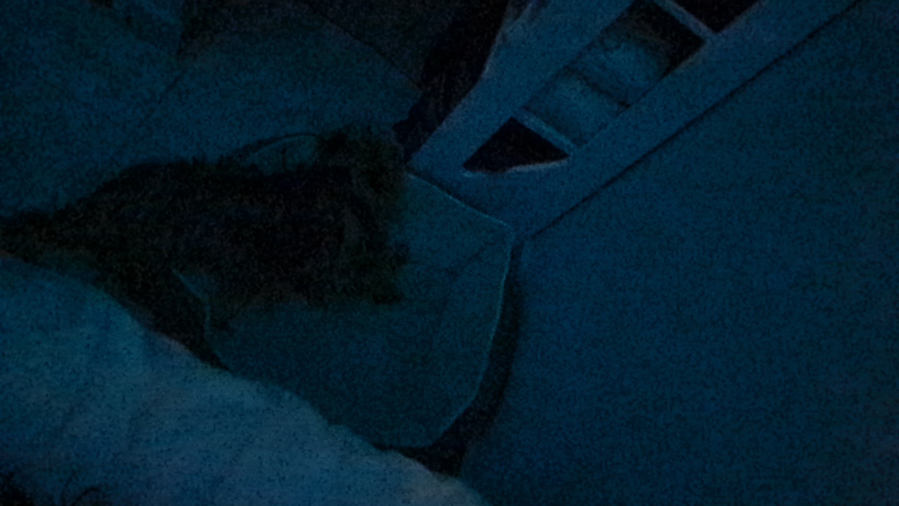 sari📷📽's profile picture