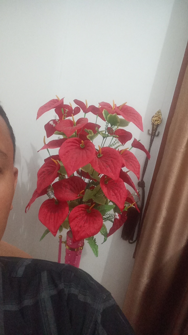 FM-PCRfP2's profile picture