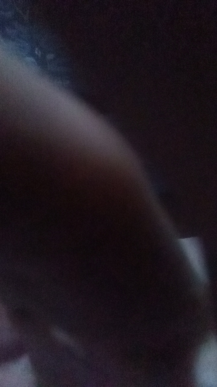 gindo's profile picture