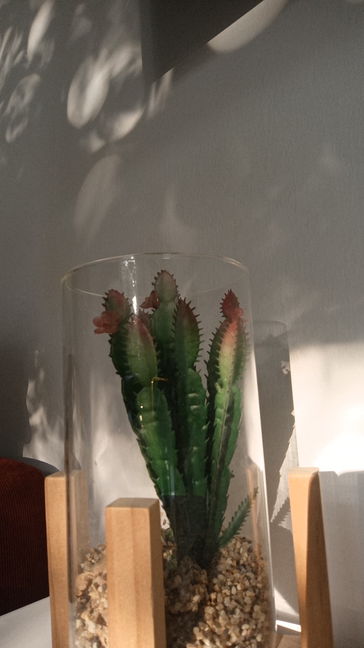 FM-mHUL52's profile picture