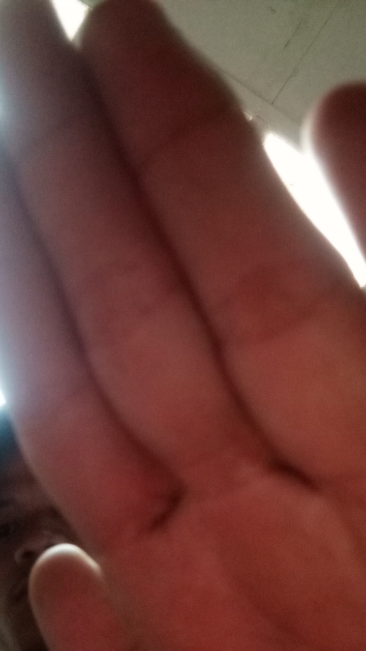 bejo's profile picture